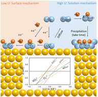 Graphical abstract: K–O2 electrochemistry at the Au/DMSO interface probed by in situ spectroscopy and theoretical calculations