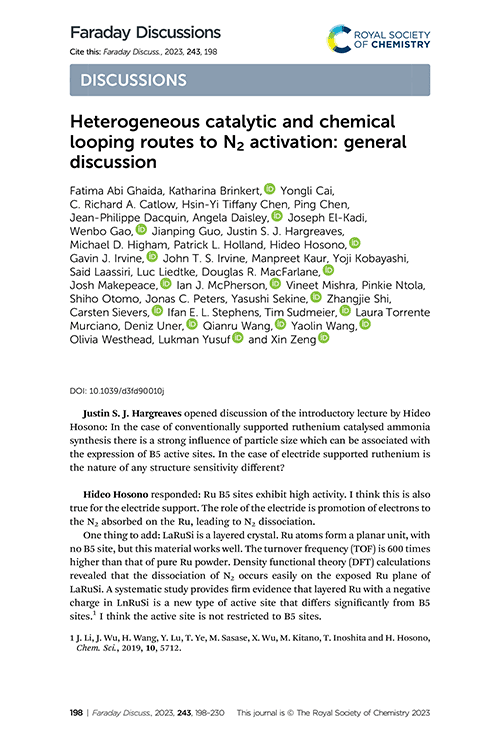 Heterogeneous catalytic and chemical looping routes to N2 activation: general discussion