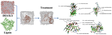 Graphical abstract: Tailoring a suitable partner system for cholinium cation to build effective solvents for biomass deconstruction