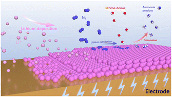 Graphical abstract: Lithium-mediated electrochemical dinitrogen reduction reaction