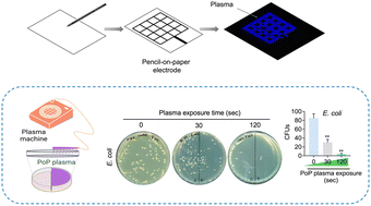 Graphical abstract: Pencil-on-paper flexible DBD plasma for surface disinfection