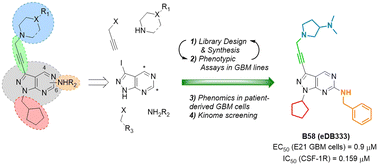 Graphical abstract: Discovery of pyrazolopyrimidines that selectively inhibit CSF-1R kinase by iterative design, synthesis and screening against glioblastoma cells