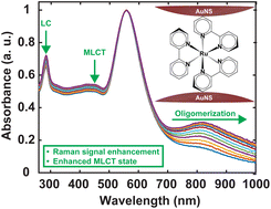 Graphical abstract: Plasmon resonance dynamics and enhancement effects in tris(2,2′-bipyridine)ruthenium(ii) gold nanosphere oligomers