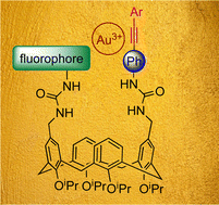 Graphical abstract: Upper-rim functionalised calix[4]arenes for chemoselective Au3+ detection