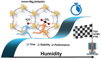 Graphical abstract: Suitability of a diamine functionalized metal–organic framework for direct air capture