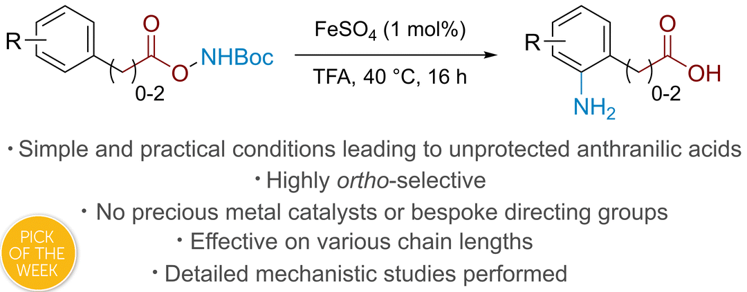 Graphical abstract: Ortho-Selective amination of arene carboxylic acids via rearrangement of acyl O-hydroxylamines