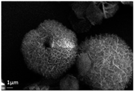 Graphical abstract: α/β-Ni(OH)2 phase control by F-ion incorporation to optimise hybrid supercapacitor performance