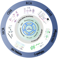 Graphical abstract: Importance of DNA nanotechnology for DNA methyltransferases in biosensing assays