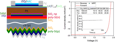 Graphical abstract: Rear textured p-type high temperature passivating contacts and their implementation in perovskite/silicon tandem cells