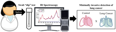 Graphical abstract: Non-invasive diagnostic test for lung cancer using biospectroscopy and variable selection techniques in saliva samples