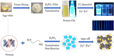 Graphical abstract: Facile fabrication of biocompatible carbon dots from egg white by one-step neutralization heat reaction: a capillary array-based fluorimetric strategy for high-throughput detection of total iron ions in fish blood
