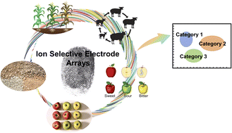 Graphical abstract: Classification techniques of ion selective electrode arrays in agriculture: a review