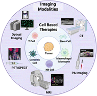 Graphical abstract: Recent advances in non-invasive in vivo tracking of cell-based cancer immunotherapies