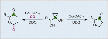 Graphical abstract: Divergent synthesis of δ-valerolactones and furanones via palladium or copper-catalyzed α-hydroxycyclopropanol ring opening cyclizations