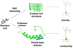 Graphical abstract: Unnatural foldamers as inhibitors of Aβ aggregation via stabilizing the Aβ helix