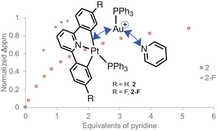 Graphical abstract: Stability of metal–metal interactions in transmetallation intermediates based on electronics of bridging arene ligands determined through pyridine titrations
