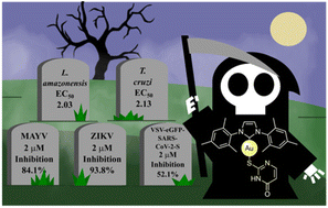 Graphical abstract: Exploring antiviral and antiparasitic activity of gold N-heterocyclic carbenes with thiolate ligands
