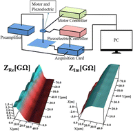 Graphical abstract: Integrated scanning electrochemical cell microscopy platform with local electrochemical impedance spectroscopy using a preamplifier