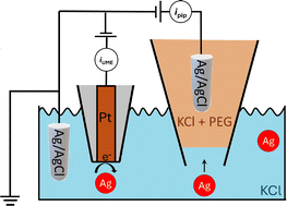 Graphical abstract: Multimodal nanoparticle analysis enabled by a polymer electrolyte nanopore combined with nanoimpact electrochemistry