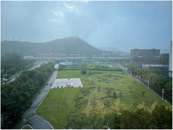 Graphical abstract: New horizons in nanoelectrochemistry: concluding remarks