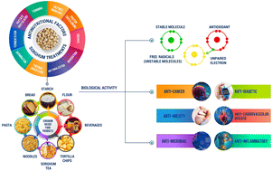 Graphical abstract: Exploring the potential of sorghum with reference to its bioactivities, physicochemical properties and potential health benefits