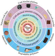 Graphical abstract: Transforming wastes into functional materials: natural cork-based physical structural components and polymers