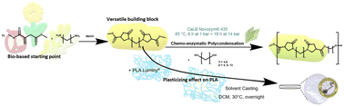 Graphical abstract: Bis-pyrrolidone structures as versatile building blocks for the synthesis of bio-based polyesters and for the preparation of additives
