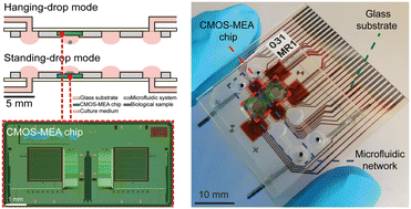 Graphical abstract: Seamless integration of CMOS microsensors into open microfluidic systems