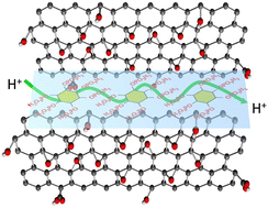 Graphical abstract: Enhanced proton conductivity from phytic acid-intercalated three-dimensional graphene oxide