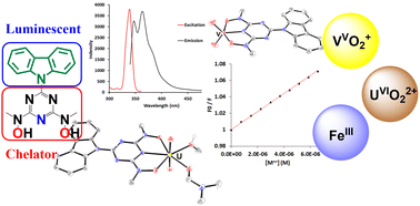 Graphical abstract: Spectroscopically labelled hydroxylamino-triazine (BHT) siderophores toward the quantification of iron(iii), vanadium(v) and uranium(vi) hard metal ions