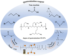Graphical abstract: One-step synthesis of quaternized polyethyleneimine and its application in transesterification reactions