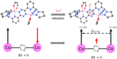 Graphical abstract: The role of the radical tetrazine bridging ligand in spin-only magnetic coupling in complex dimers
