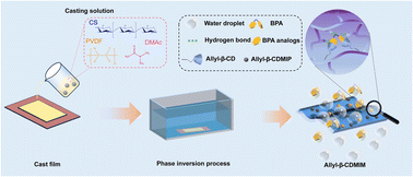 Graphical abstract: Switchable adsorption/desorption bisphenol A and its derivatives by allyl-β-cyclodextrin functionalized intelligent molecularly imprinted polymer membrane