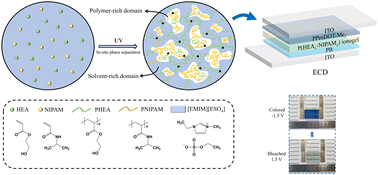Graphical abstract: A tough and high adhesive ionogel electrolyte achieved by in situ phase separation for high-performance electrochromic devices