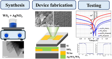 Graphical abstract: Reduced carrier–phonon scattering and enhanced absorption in silver-doped transition metal dichalcogenide photodetectors