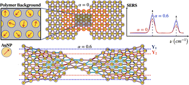 Graphical abstract: Deformation induced evolution of plasmonic responses in polymer grafted nanoparticle thin films