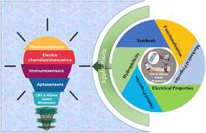 Graphical abstract: Holistic insights into carbon nanotubes and MXenes as a promising route to bio-sensing applications