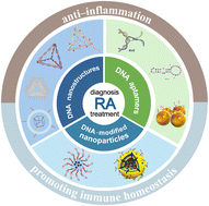 Graphical abstract: Multifunctional DNA nanomaterials: a new frontier in rheumatoid arthritis diagnosis and treatment