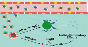 Graphical abstract: Biomimetic engineering of a neuroinflammation-targeted MOF nanozyme scaffolded with photo-trigger released CO for the treatment of Alzheimer's disease