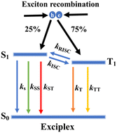 Graphical abstract: Exciton dynamics of the efficiency roll-off of exciplex-based OLEDs and low efficiency roll-off phosphorescence OLEDs based on an exciplex as the host