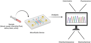Graphical abstract: Advancements and innovations in liquid biopsy through microfluidic technology for cancer diagnosis
