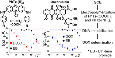 Graphical abstract: Cationic and anionic phenothiazine derivatives: electrochemical behavior and application in DNA sensor development