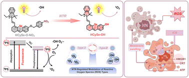 Graphical abstract: Switching between type I/II photosensitization processes for of an unconventional dye as modulated by the tumor microenvironment for inducing immunogenic death
