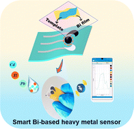 Graphical abstract: High-selectivity wearable Bi-based smartsensor constructed via template sacrifice for on-site heavy metal monitoring