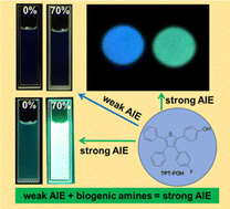 Graphical abstract: Boosting aggregation-induced emission of hydroxylated tetraphenylthiophene via biogenic amine entangling