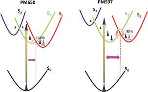 Graphical abstract: Understanding contrasting S2 → S1 internal conversion rates in boron-dipyrromethene derivatives via multi-configuration time-dependent hartree method