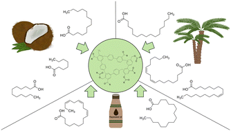 Graphical abstract: Synthesis of hypercrosslinked polymers using coconut oil as a renewable, bio-based solvent