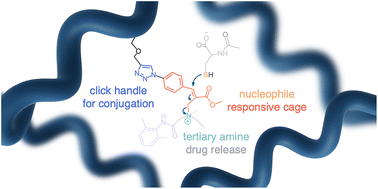 Graphical abstract: Nucleophile-triggered prodrug release from polymer hydrogels