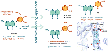 Graphical abstract: Beyond natural flavonoids: exploring bioisosterism in design and synthesis of influenza endonuclease inhibitors