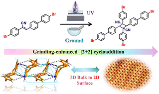 Graphical abstract: Mechanochemical grinding-enhanced olefin–olefin [2+2] cycloaddition in cyanostilbene derivatives: mechanistic dependence on halogen-based bonding